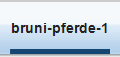 bruni-pferde-1